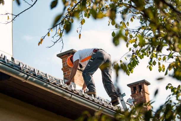 Best Commercial Roofing Services  in Lake Summerset, IL