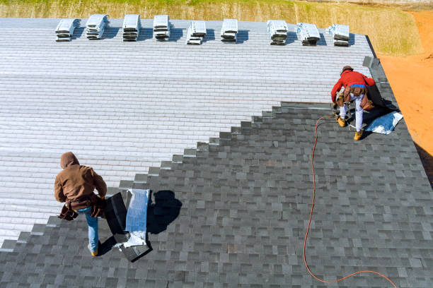Best Storm Damage Roof Repair  in Lake Summerset, IL