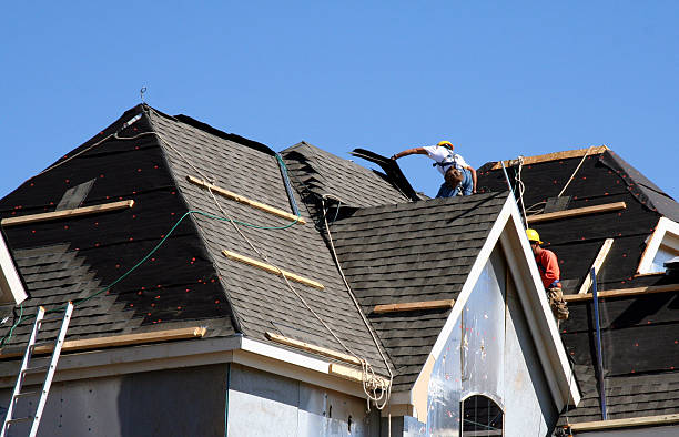 Best Flat Roof Repair Services  in Lake Summerset, IL